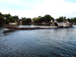 Hue Flussbewohner 2