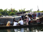 Hue Flussbewohner 5