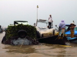 Cai Rang 6
