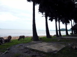 Hong Chong 2