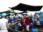 Ha Tien Markt 3