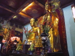 HCMS PhuocHaiTu