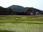 bei Ha Tien