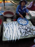 Bei Hoi An 5