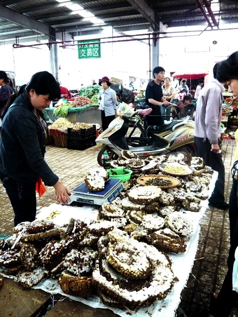 Kunming Honigwaben