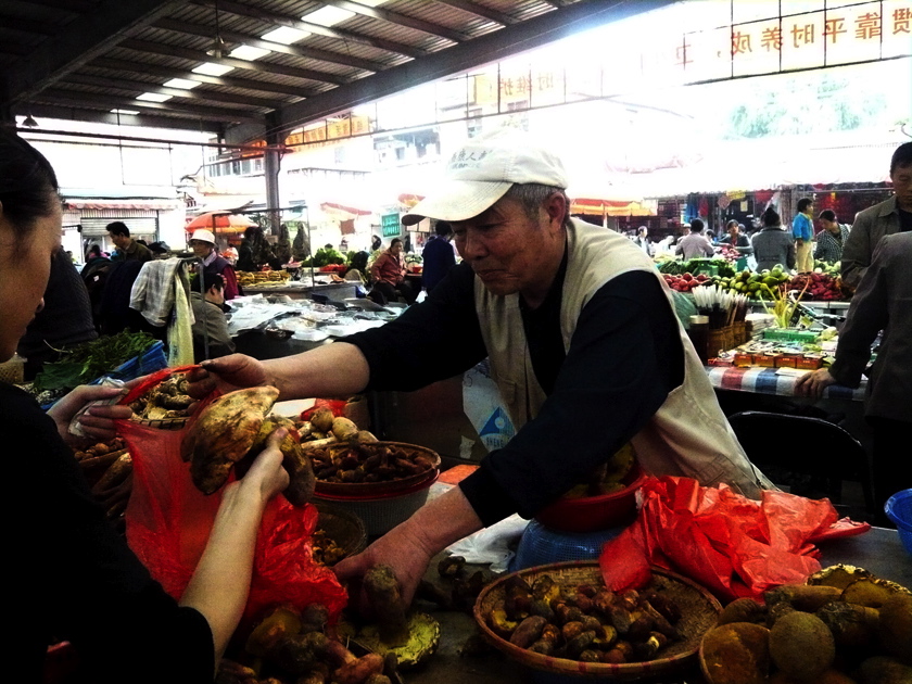 Kunming Pilzhauptstadt 1