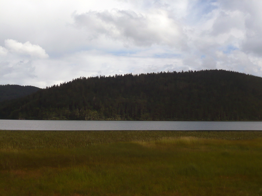 Patatso NP 6