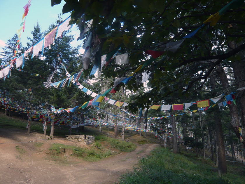 Da Bao Tempel 1