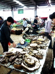 Kunming Honigwaben