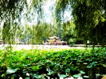 Kunming Green Lake Park 1