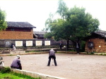 Baisha Cricket
