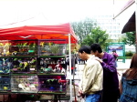 Kunming Vogelfreunde