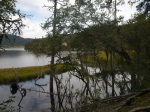 Patatso NP 3