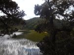 Patatso NP 4