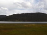 Patatso NP 6