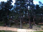 Da Bao Tempel 5