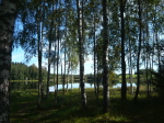 bei Voru