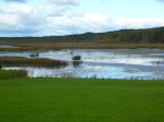 Tabinajärv