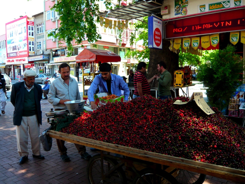 Samsun 5