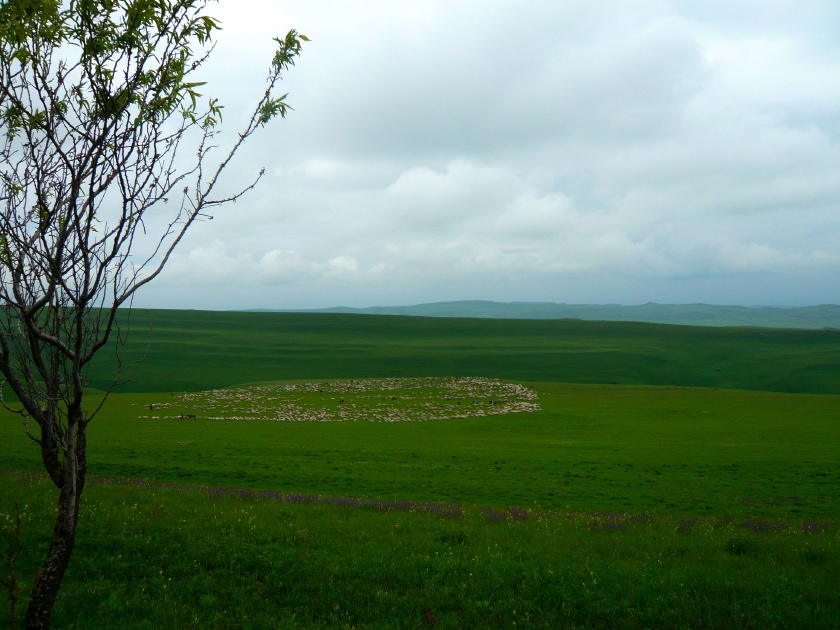 Steppe bei Udabno 2