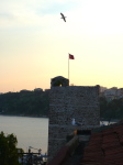 Sinop 5