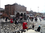 Istanbul, Ticaret Odasi