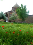 Hripsime 1