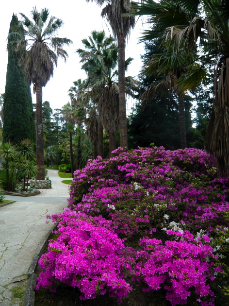 Dendritenpark 1