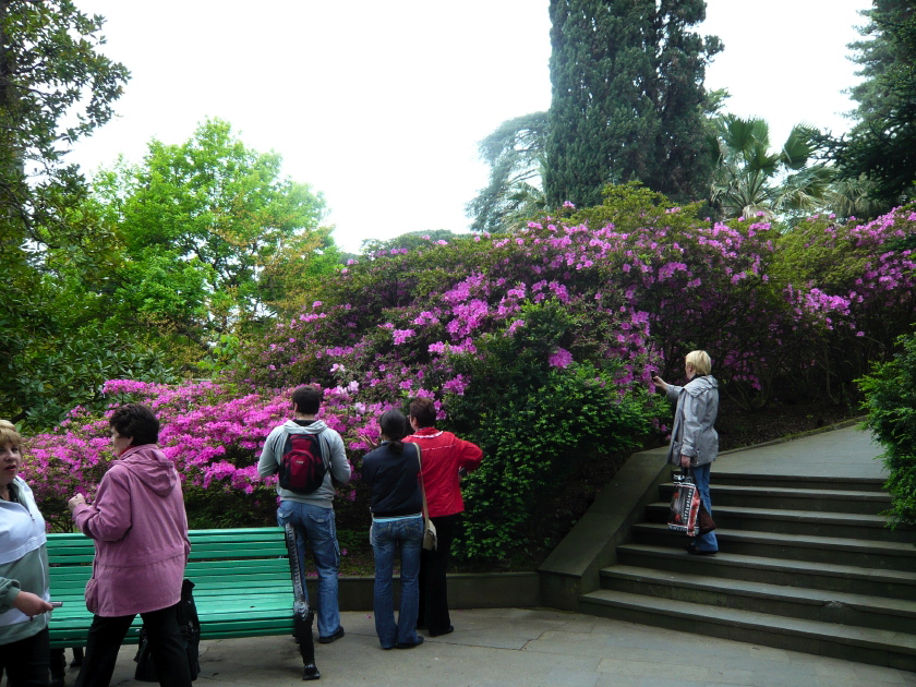 Dendritenpark 2