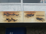 Jalta, Strand 2