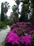 Dendritenpark 1