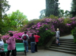 Dendritenpark 2