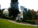 Dendritenpark 3